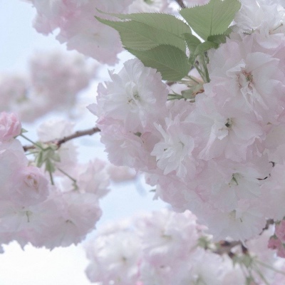 阜新FurryQQ群介绍